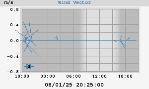 Wind Vector
